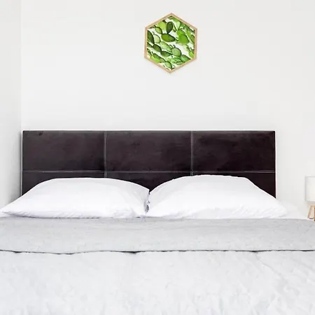 Bm W Centrum * Szczecin