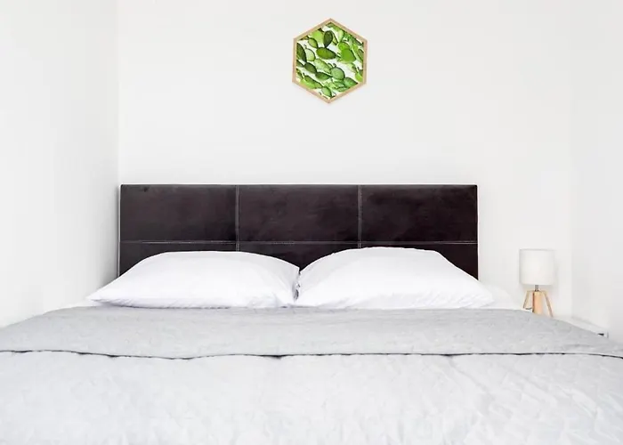 Bm W Centrum * Stettino